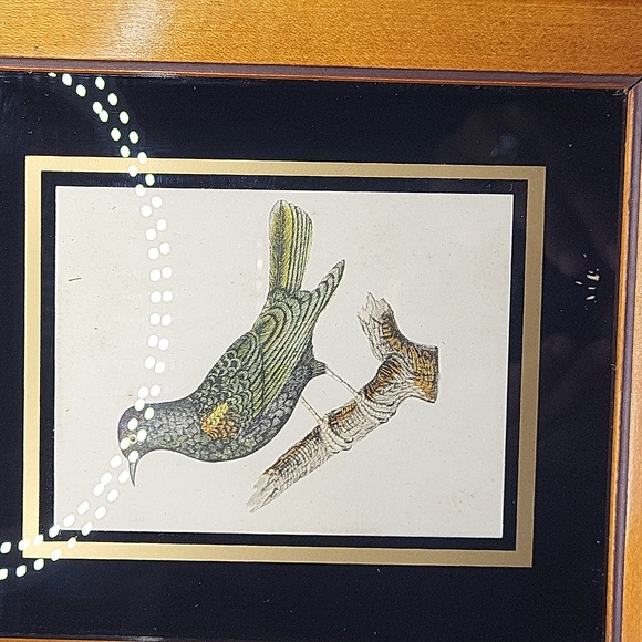 Vintage Bird Print in Brown Frame and Black Matting. Great for Gallery Wall! - Picture 3 of 6